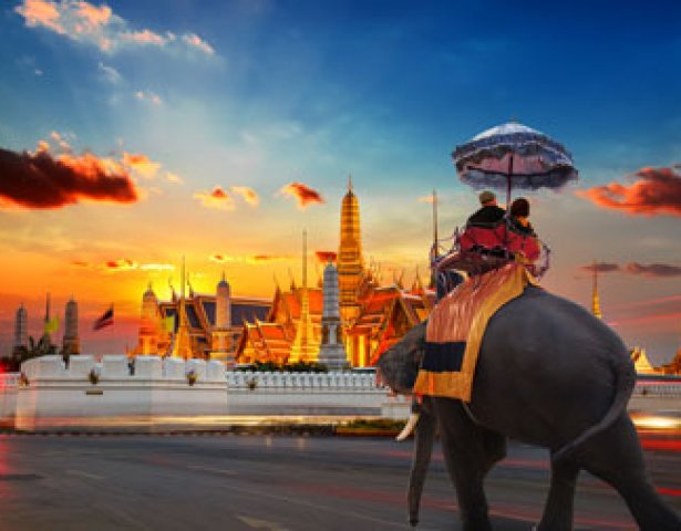 Ein Ein elephant mit tourists im Wat Phra Kaew - the Temple of the Emerald Buddha