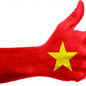 Vietnamesische Flagge auf einer Hand