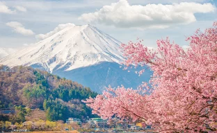 Vulkan Fuji und Sakura, Japan