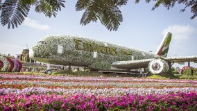 Airbus A380 in Miracle Garden in Dubai