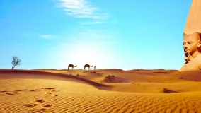 Kamele und die Sphinx in Ägypten
