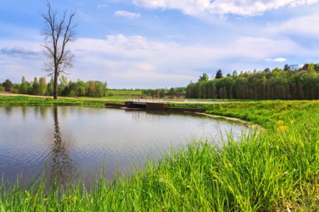 Landschaftszug in Belarus