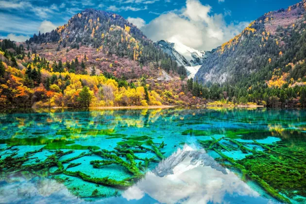 Blumensee im Jiuzhaigou Nationalpark in China