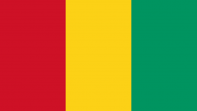 Flagge von Guinea