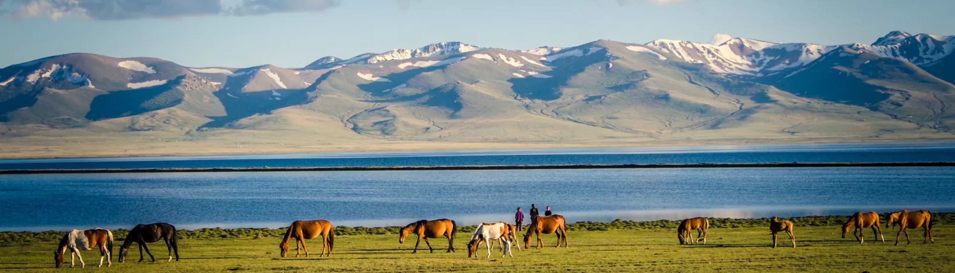 Grasende Pferde am Bergsee Song Kul in Kirgisistan