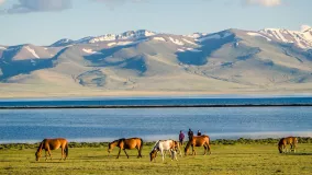 Grasende Pferde am Bergsee Song Kul in Kirgisistan
