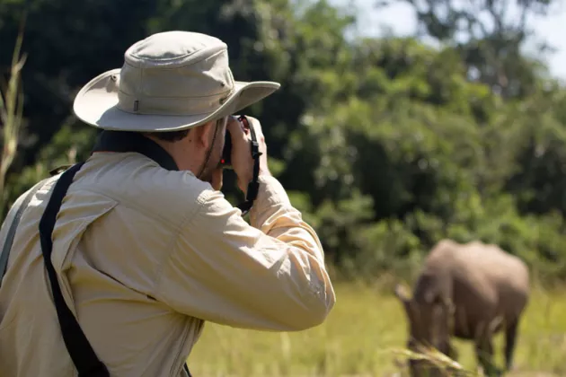 Tiere bei Safari fotografieren