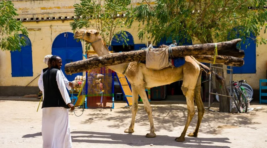 Eritrea: Aktuelle Reise- und Sicherheitshinweise für Reisende (Stand 25.08.2026)