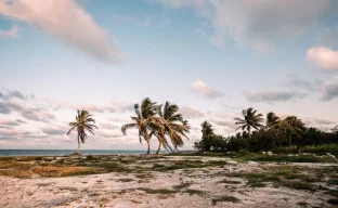 Karibikküste in Belize mit türkisfarbenem Wasser