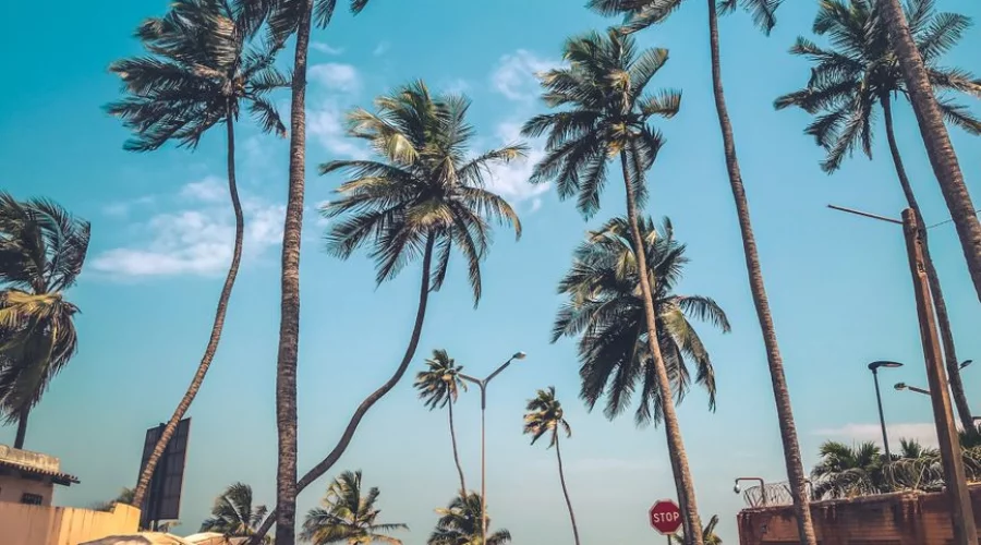 Togo bestätigt visumfreie Einreise für afrikanische Reisende nach Kabinettsbeschluss
