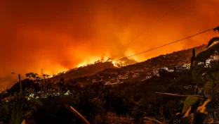Waldbrandwarnung in Portugal auf dem Festland