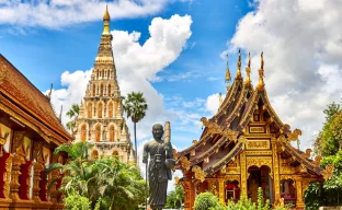 THIM-App für Reisende nach Thailand