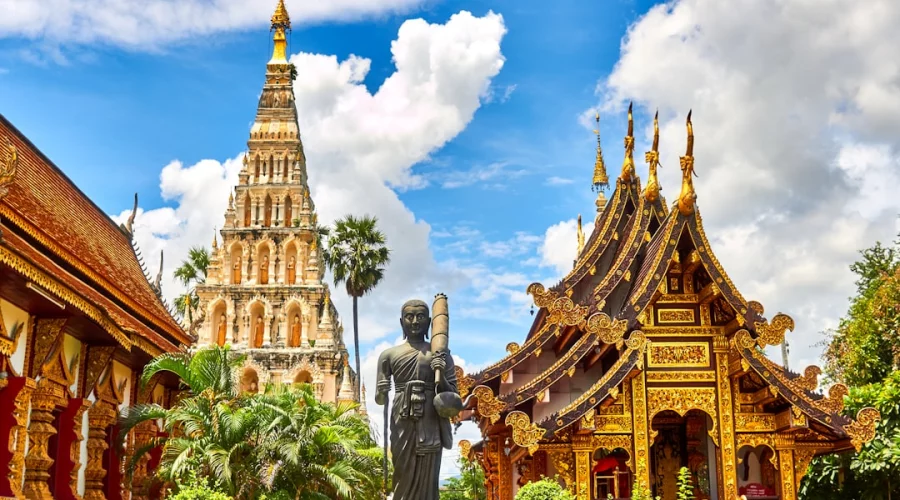 THIM vs. TDAC: Wichtige Informationen für Reisende nach Thailand