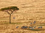 Reisedokumente und Landschaft symbolisieren neue Reiseversicherungspflicht in Tansania