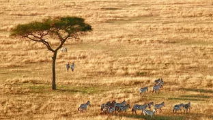Reisedokumente und Landschaft symbolisieren neue Reiseversicherungspflicht in Tansania