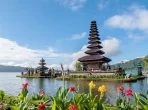 Landschaft in Indonesien mit Vulkan und Reisfeldern