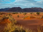Störung bei Online-Visumanträgen in Namibia