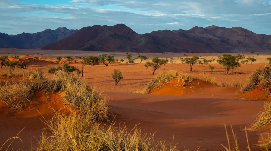 Namibia: Online-Visumanträge nach Wartungsarbeiten gestört