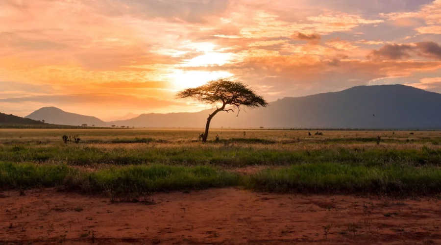 Kenia: Gericht setzt Pflicht-Krankenversicherung für ausländische Besucher vorläufig aus
