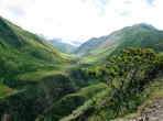 Landschaft in Ecuador mit Anden im Hintergrund
