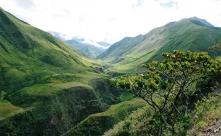Landschaft in Ecuador mit Anden im Hintergrund