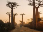 Reise- und Sicherheitshinweise für Madagaskar