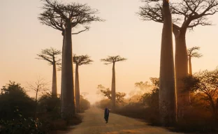 Reise- und Sicherheitshinweise für Madagaskar