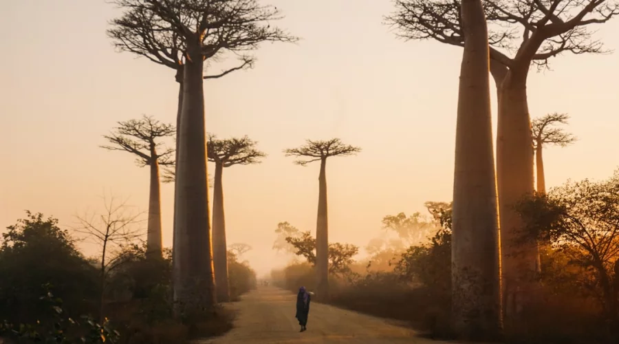 Reise- und Sicherheitshinweise für Madagaskar – Aktuelle Informationen für Reisende