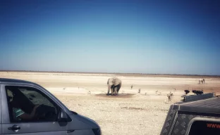 Straße durch den Etosha-Nationalpark in Namibia