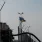 Grenzkontrolle und Reisedokumente an der Ukraine-Grenze