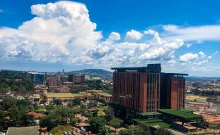 Gesundheitsrisiken in Uganda: Marburg- und Ebolavirus