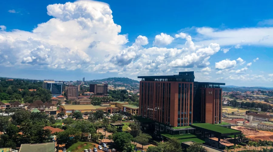 Aktuelle Gesundheitsrisiken in Uganda: Marburg- und Ebolavirus