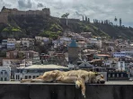 Altstadt von Tbilisi mit Seilbahn zur Narikala-Festung