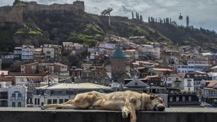 Altstadt von Tbilisi mit Seilbahn zur Narikala-Festung