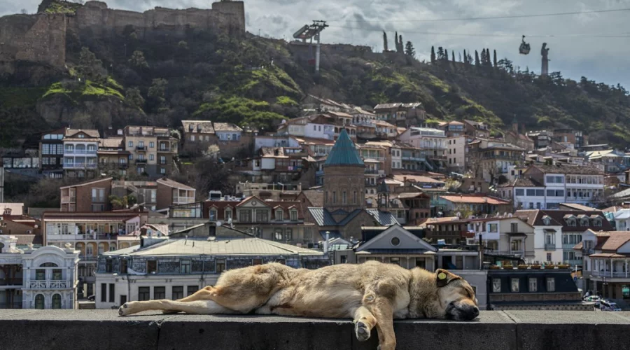 Tbilisi in zwei bis drei Tagen: Kompakter Städtetrip mit Altstadt, Bädern und Seilbahn