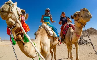 Touristen auf Kamelen in Ägypten beim Wandern