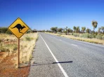 Vorsicht vor Känguru-Schild, Australien