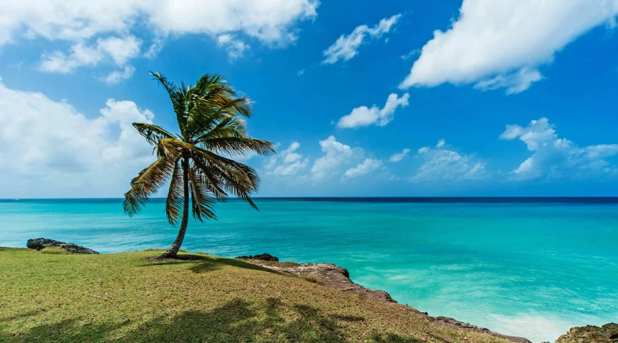 Freizügigkeit ohne Visa: Barbados, Belize, Dominica und St. Vincent haben ein neues Abkommen unterzeichnet