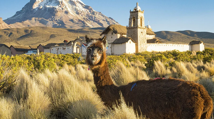 Bolivien hebt Visa für acht Länder auf