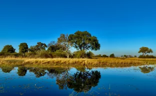 Okavango Delta, Botswana