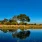 Okavango Delta, Botswana