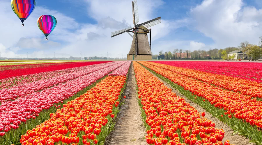Papierformulare werden abgeschafft: Visa für die Niederlande nur noch online