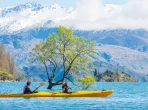 Touristen fahren mit dem Kajak am berühmten einsamen Baum im Lake Wanaka vorbei, dem viertgrößten See Neuseelands.
