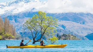 Touristen fahren mit dem Kajak am berühmten einsamen Baum im Lake Wanaka vorbei, dem viertgrößten See Neuseelands. Touristen fahren mit dem Kajak am berühmten einsamen Baum im Lake Wanaka vorbei, dem viertgrößten See Neuseelands.