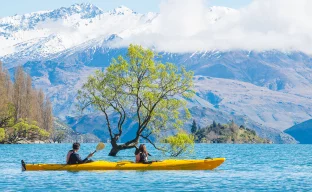 Touristen fahren mit dem Kajak am berühmten einsamen Baum im Lake Wanaka vorbei, dem viertgrößten See Neuseelands.