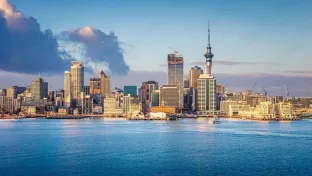 Auckland-Panorama