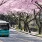 der Bus fährt die blühende Straße entlang