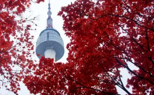 blau-weißer Turm