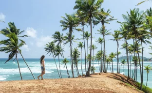 Urlaub in Sri Lanka