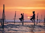 Traditionelles Stelzenfischen in Sri Lanka